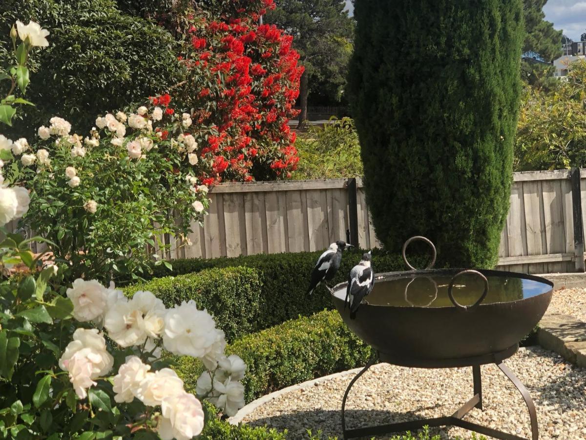 샌디베이 The Rivulet B&B 외부 사진 The Rose Garden at the San Francisco Botanical Garden